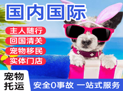 长海航空空运国际宠物托运 【国